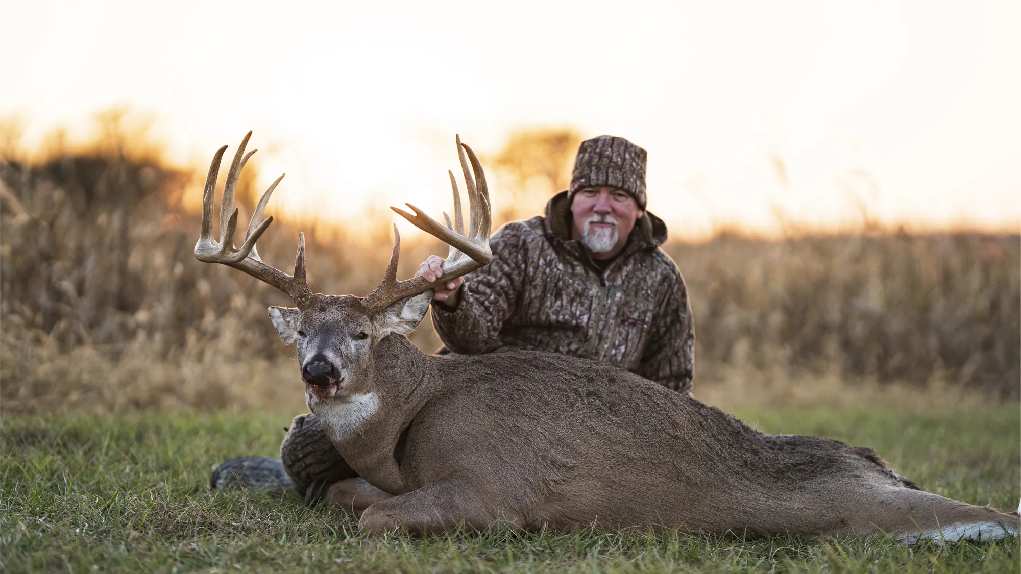 Trophy whitetail buck at golden hour, Southern Illinois
